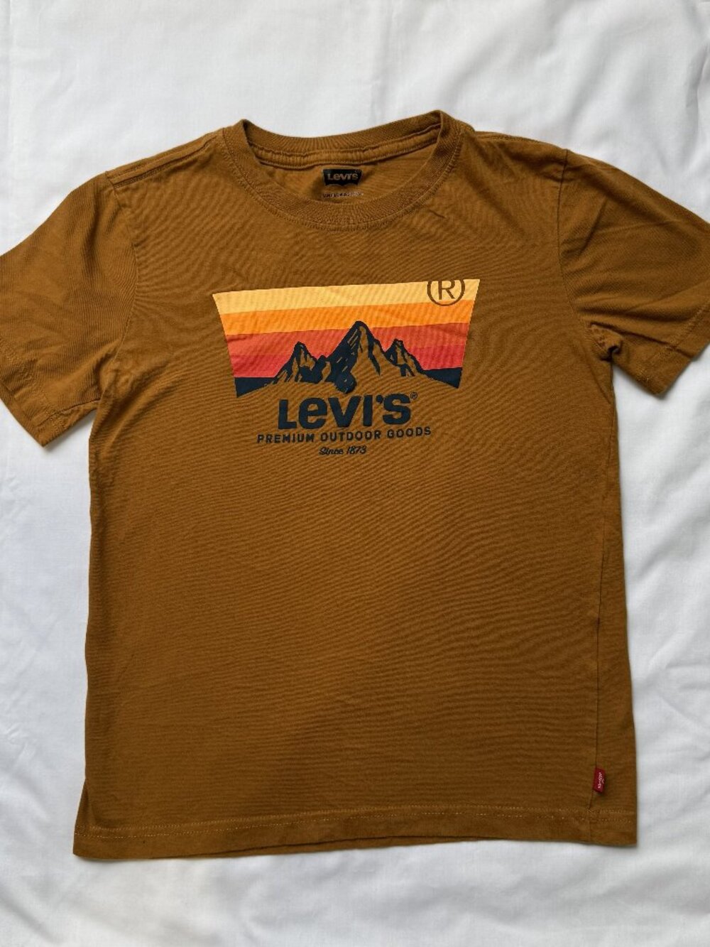 Levi's Boys Youth M 10/12 Mustard Brown Mountain Sunset Graphic T-Shirt